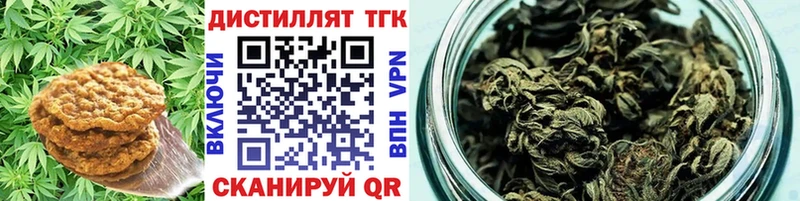 Cannafood конопля цена Сясьстрой