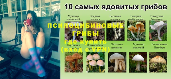 соль курить ск Нязепетровск
