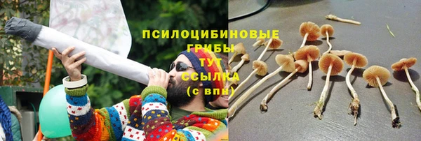 скорость Новокубанск