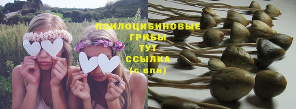скорость Новокубанск
