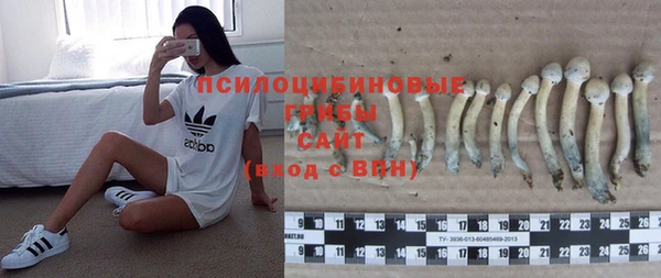 кокс Новозыбков