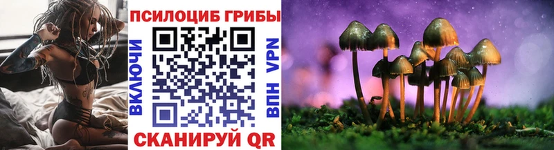 магазин продажи   мега вход  Псилоцибиновые грибы Cubensis  Сясьстрой 